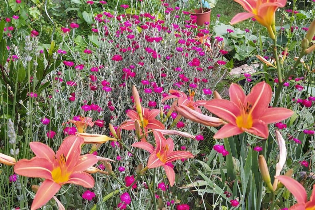 Gite Les Lilas La Genevraye المظهر الخارجي الصورة